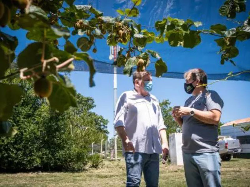 “Acompañamos al sector frutihortícola que genera 20 mil puestos de trabajo”