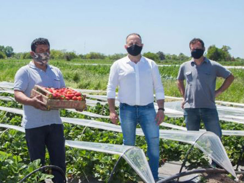 Ciencia y Tecnología contra el Hambre