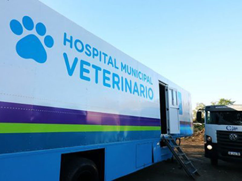 Hospital Municipal Veterinario estará en San Bernardo 