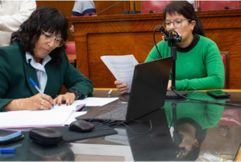 Se reunió la Comisión de Educación del Concejo Deliberante