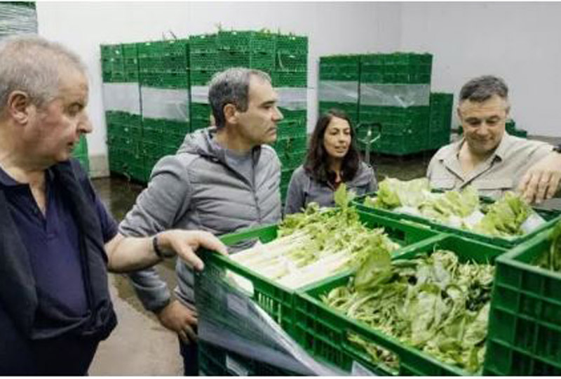 El Municipio impulsa la producción hidropónica como modelo sostenible