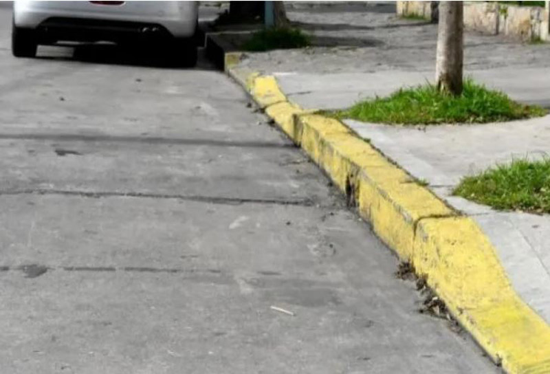 Proponen un relevamiento integral de cordones amarillos que no tienen autorización